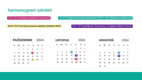 plakat promujący