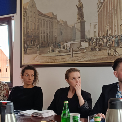 posiedzenie RDPP 27.03.2025 r. 